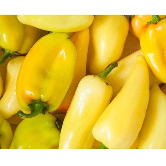 Semillas de aji (HOT) Caloro (100% Heirloom/No Híbrido/No GMO). 10 semillas aproximadamente