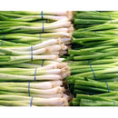 Semillas de cebollin, Evergreen Bunching (100% Heirloom/No Híbrido/No GMO). 100 semillas aprox.