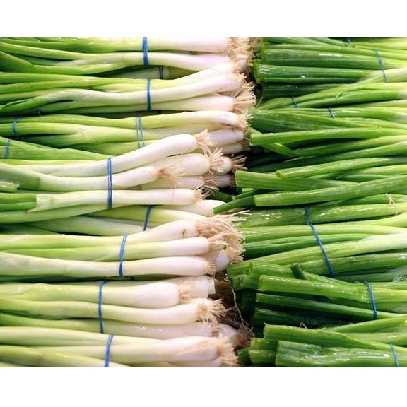 Semillas de cebollin, Evergreen Bunching (100% Heirloom/No Híbrido/No GMO). 100 semillas aprox.