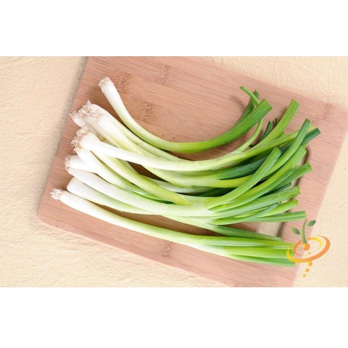 Semillas de cebollin, Evergreen Bunching (100% Heirloom/No Híbrido/No GMO). 100 semillas aprox.