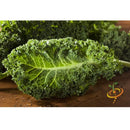 Semillas de col rizada (100% Heirloom/No Híbrido/No GMO). 50 semillas aproximadamente.