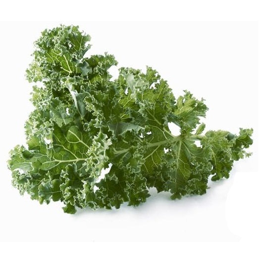 Semillas de col rizada (100% Heirloom/No Híbrido/No GMO). 50 semillas aproximadamente.