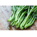 Semillas de col rizada enana, siberiana (100% Heirloom/No Híbrido/No GMO). 70 semillas aprox.