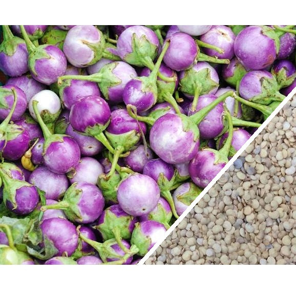 Semillas de berenjena, malva redonda (100% Heirloom/No Híbrido/No GMO). 10 semillas aproximadamente.