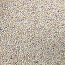 Semillas de berenjena, malva redonda (100% Heirloom/No Híbrido/No GMO). 10 semillas aproximadamente.