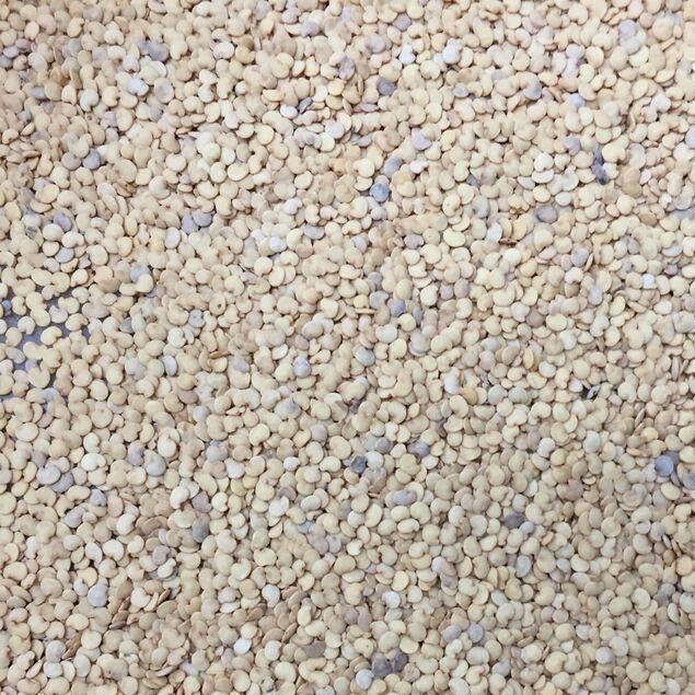 Semillas de berenjena, malva redonda (100% Heirloom/No Híbrido/No GMO). 10 semillas aproximadamente.