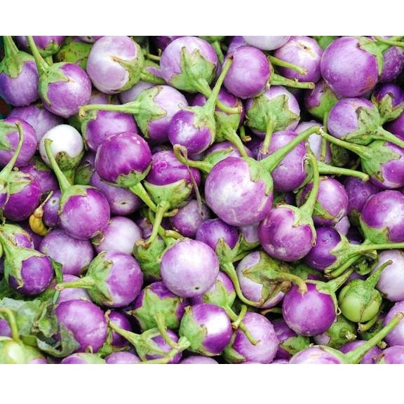 Semillas de berenjena, malva redonda (100% Heirloom/No Híbrido/No GMO). 10 semillas aproximadamente.