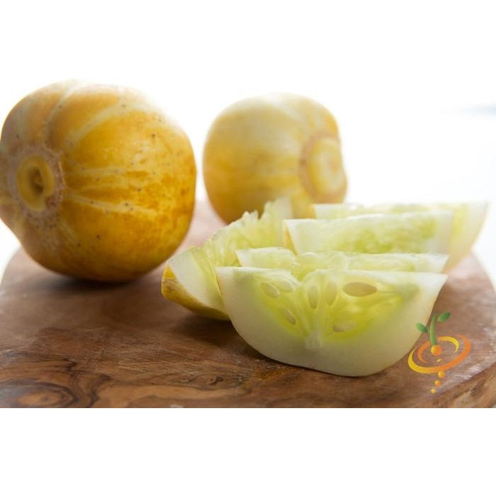 Semillas de pepino limón (100% Heirloom/No Híbrido/No GMO). 10 semillas aproximadamente.