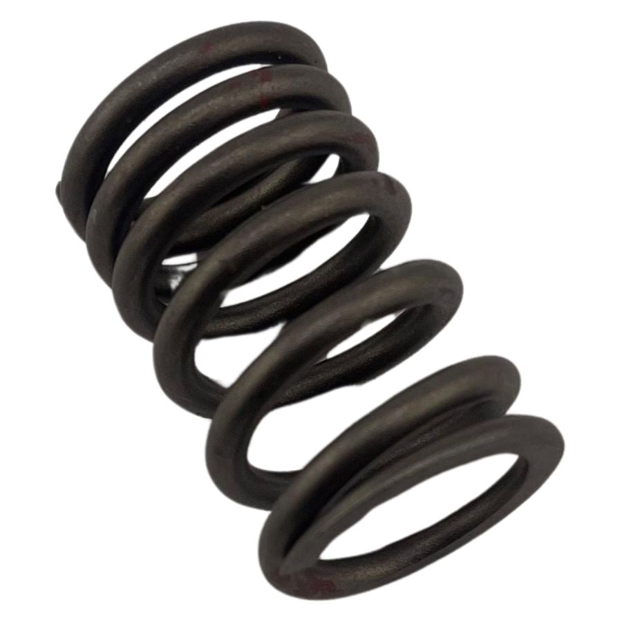 Resorte exterior de valvula (RKG150)