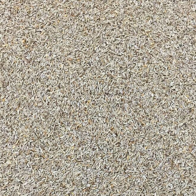 Semillas de manzanilla, alemana. 250 semillas aproximadamente.