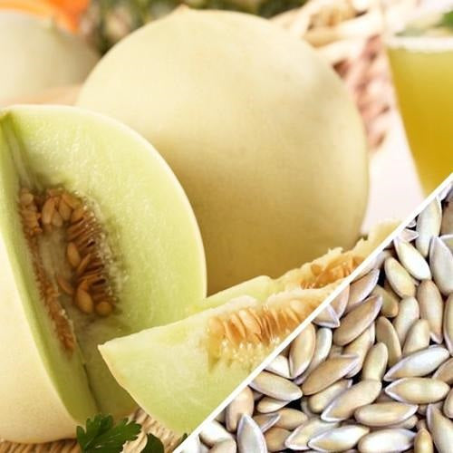 Semillas de melon, pulpa verde (100% Heirloom/No Híbrido/No GMO). 10 semillas aproximadamente.
