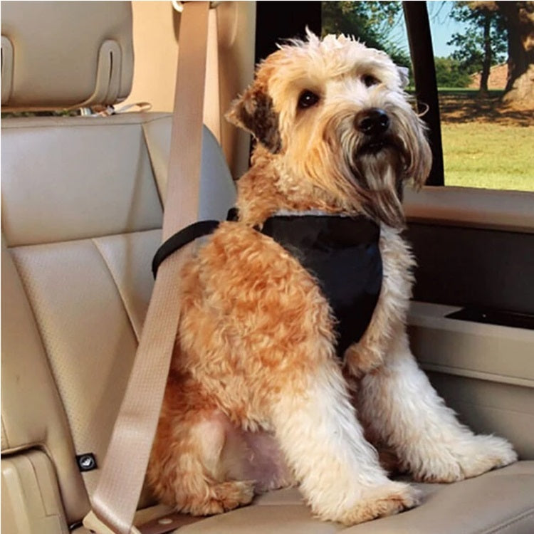 Arnes Pechera para mascota, para transportar en auto. Tamaño L.