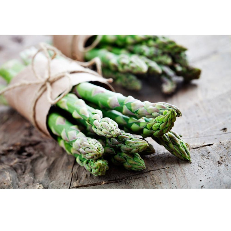 Semillas de esparragos, Mary Washington (100% Heirloom/No Híbrido/No GMO). 20 semillas aprox.