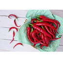Semillas de aji (HOT) Cayenne Long Thin (100% Heirloom/No Híbrido/No GMO). 10 semillas aprox.
