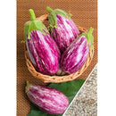 Semillas de berenjena, Pandora (100% Heirloom/No Híbrido/No GMO). 10 semillas aproximadamente.