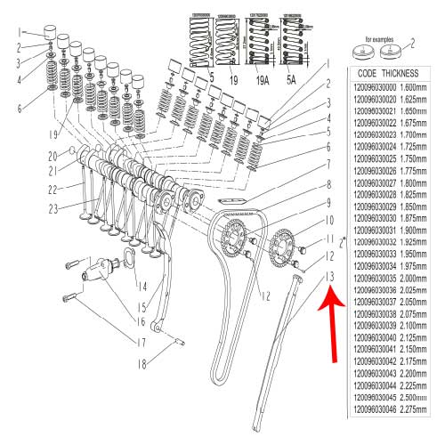Patin de cadena fijo (302S / TNT600)
