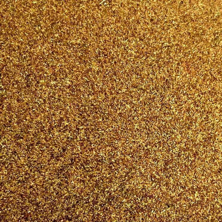 Semillas de ajenjo, Hierba medicinal (100% Heirloom / No Híbrido / No GMO). 300 semillas aprox.