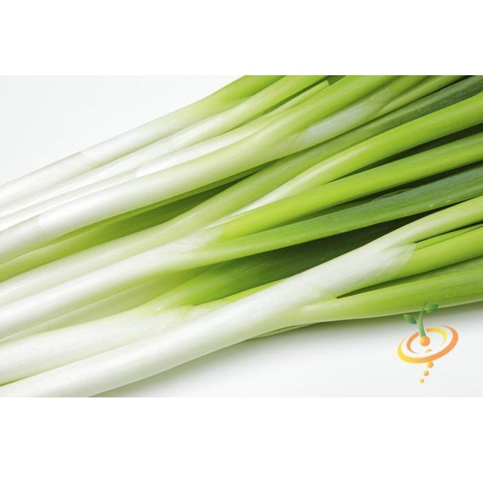 Semillas de cebollin largo, Tokyo White (100% Heirloom/No Híbrido/No GMO). 80 semillas aprox.