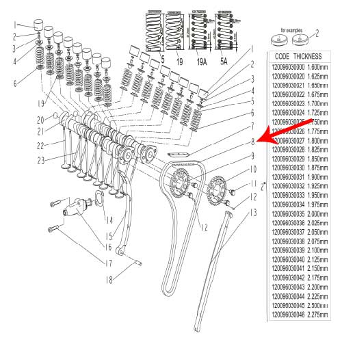 Cadena del arbol de levas (302S / TNT600)