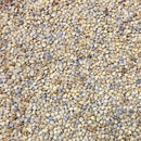 Semillas de berenjena, Casper blanco (100% Heirloom/No Híbrido/No GMO). 10 semillas aproximadamente.