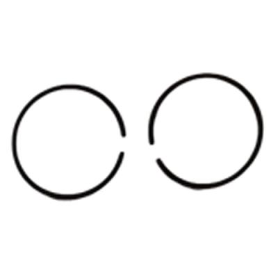 Anillo de piston (XZJ0000030)