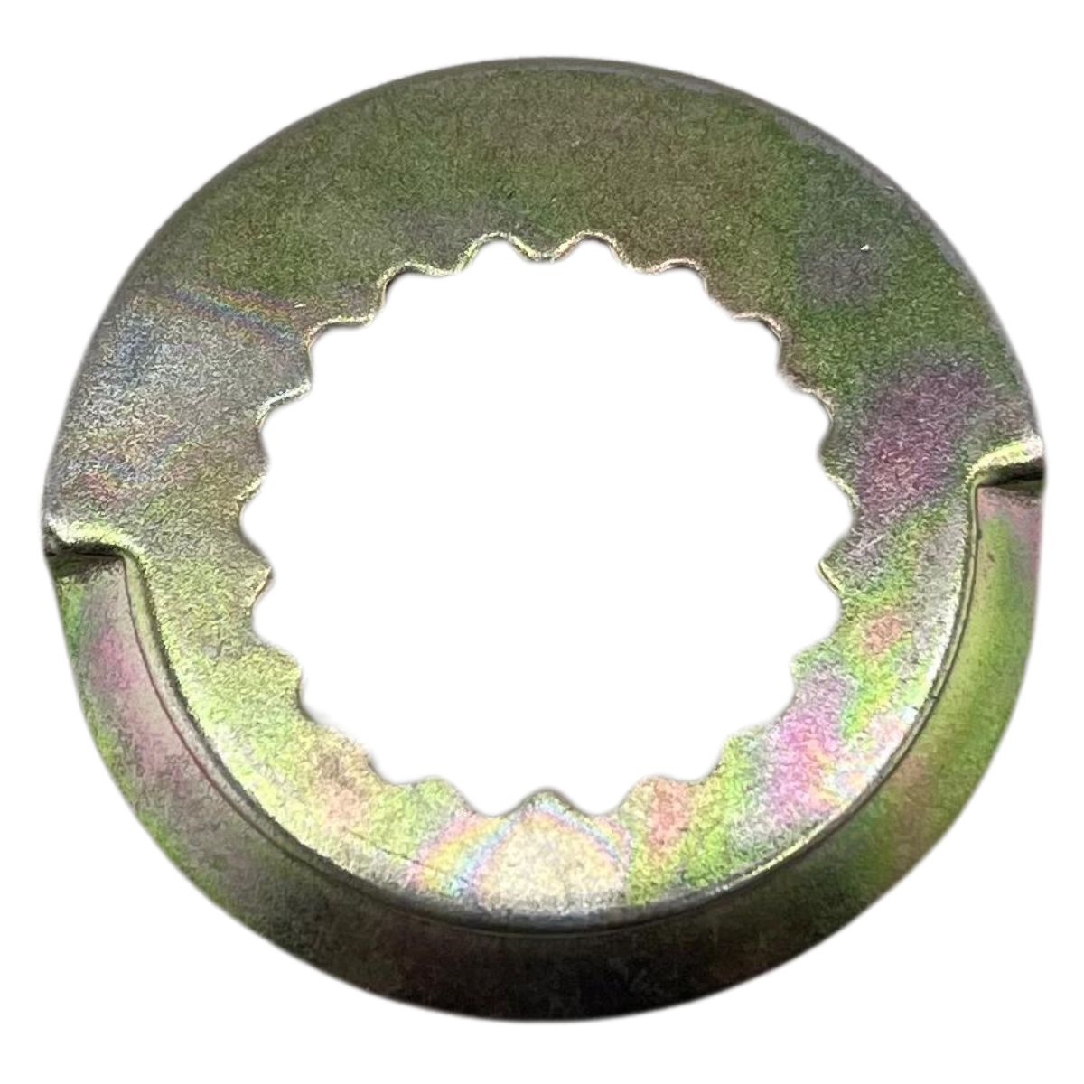 Empacadura del covertor del magneto (TNT150)