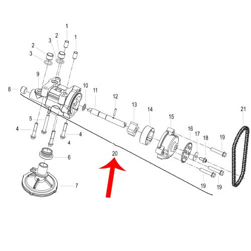 Bomba de aceite (LEONCINO500 / TRK502X)