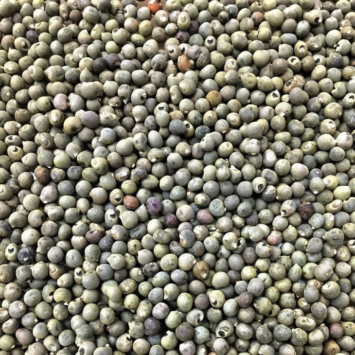 Semillas de ñaju (Okra) Clemson Spineless (100% Heirloom/No Híbrido/No GMO). 20 semillas aprox.