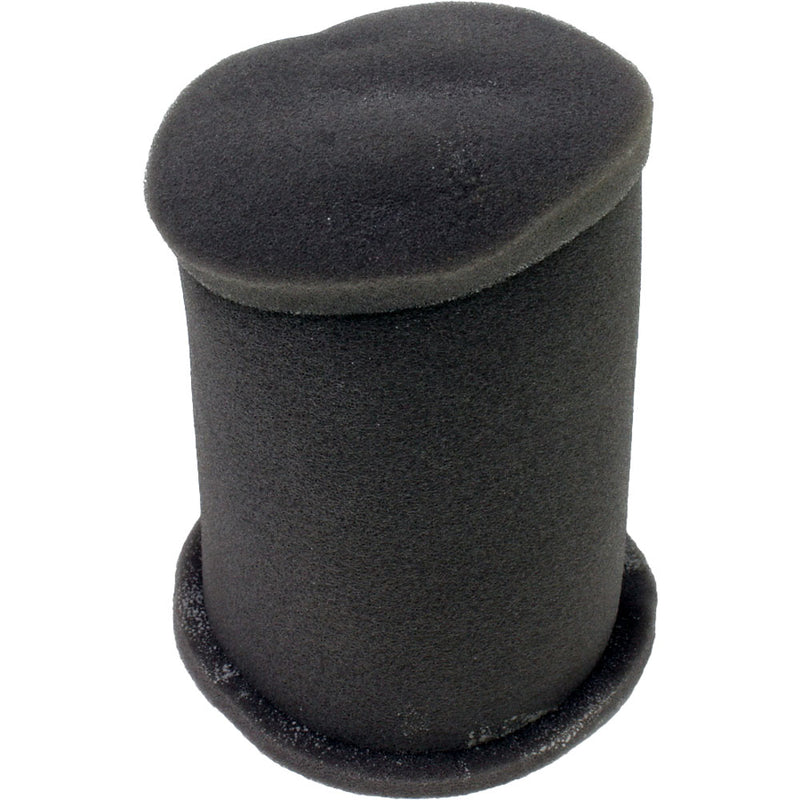 Filtro de aire (RKG150) (CODIGO NUEVO 49200J000000)