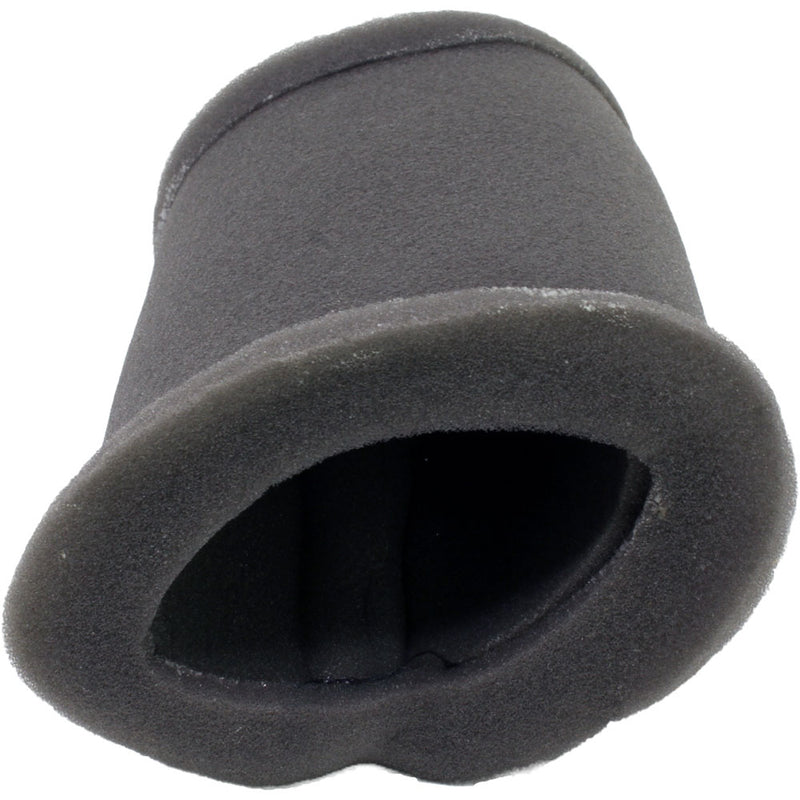 Filtro de aire (RKG150) (CODIGO NUEVO 49200J000000)