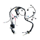 Arnes de cableado electrico (TNT25)