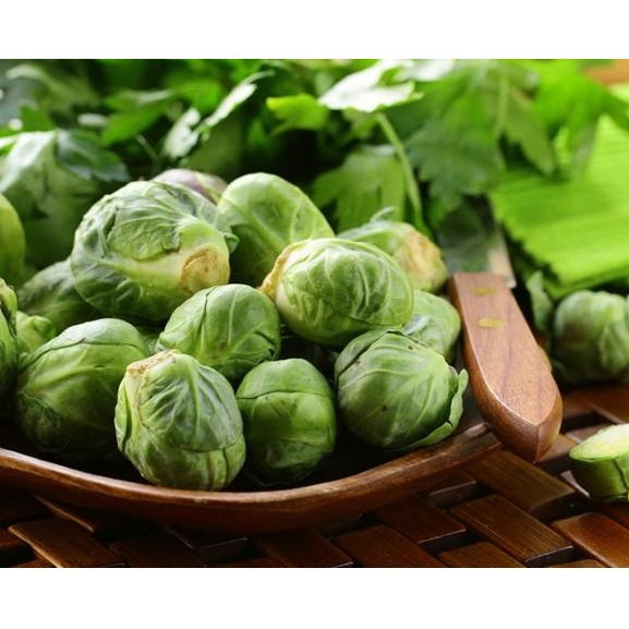 Semillas de coles de bruselas (100% Heirloom / No híbrido / No GMO). 15 semillas aproximadamente.