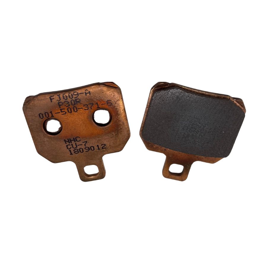 Pastillas de freno trasero (TNT600)