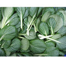 Semillas de mostaza Tatsoi. 100 semillas aproximadamente.