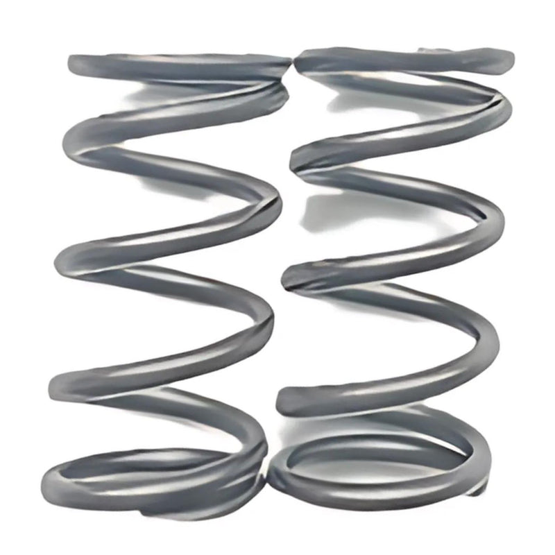Resorte de las Valvulas (QX00000977) VALVE SPRINGS