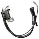 Coil de Ignición (QX00001006) IGNITER