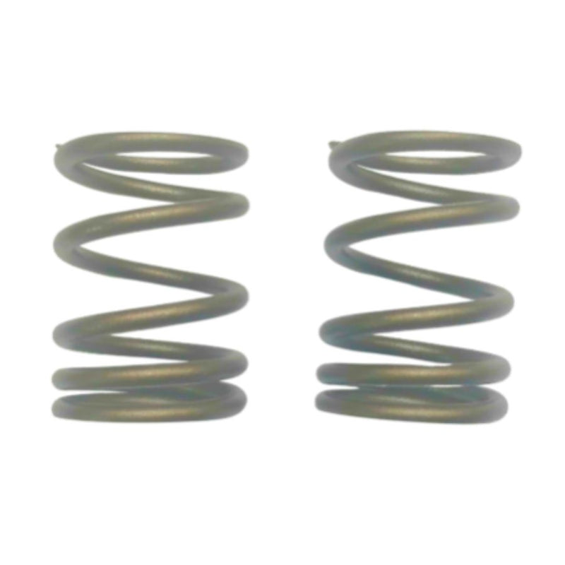 Resorte de valvula (FD00002388)