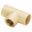 TEE reductora de CPVC con rosca bronce   3/4"*3/4"*1/2" NESSATI