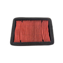 Filtro de aire (TNT25N)