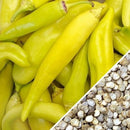 Semillas de aji dulce amarillo (100% Heirloom / No híbrido / No GMO). 50 semillas aproximadamente.