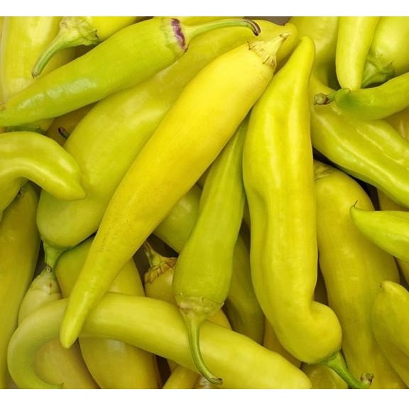 Semillas de aji dulce amarillo (100% Heirloom / No híbrido / No GMO). 50 semillas aproximadamente.
