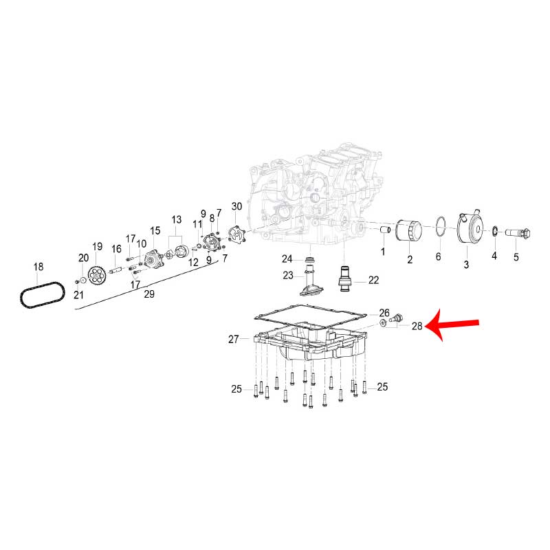Tapon de drenaje de aceite (302S / LEONCINO500 / TRK502X / 752S) (CODIGO ANTERIOR MO-REP-260346030000)