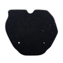 Filtro de aire (302S)