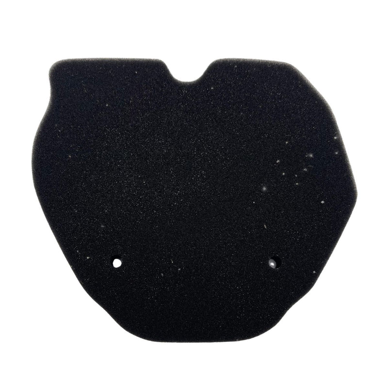 Filtro de aire (302S)