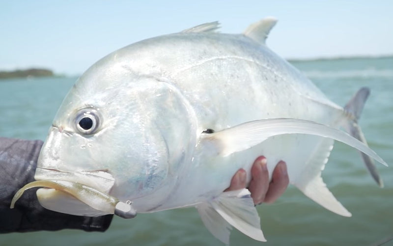 Caja señuelos suaves plomos y anzuelos 36 Pzas