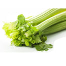 Semillas de apio, Tendercrisp (100% Heirloom/No Híbrido/No GMO). 200 semillas aproximadamente.
