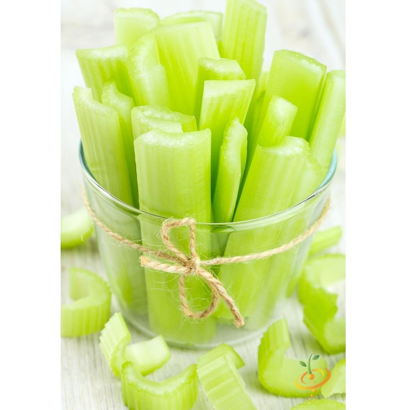 Semillas de apio, Tendercrisp (100% Heirloom/No Híbrido/No GMO). 200 semillas aproximadamente.
