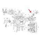 Inyector (LEONCINO250 / TNT25 / TRK251 / ZAFFERANO250)