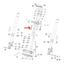 Inyector (LEONCINO250 / TNT25 / TRK251 / ZAFFERANO250)