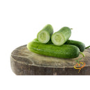 Semillas de pepino (100% Heirloom/No Híbrido/No GMO). 120 semillas aproximadamente.